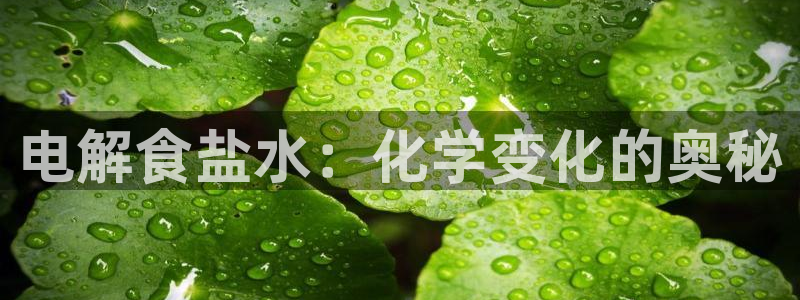 威九国际客服电话是多少