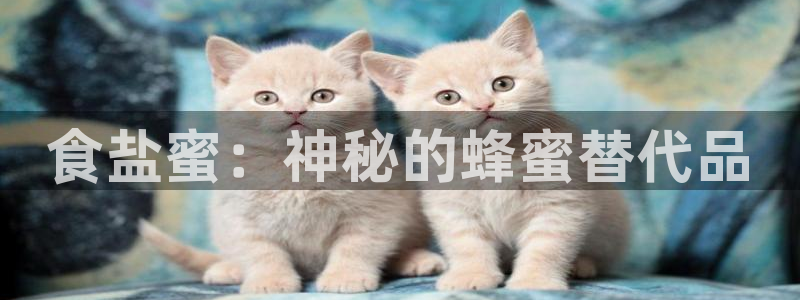 威九国际网站入囗