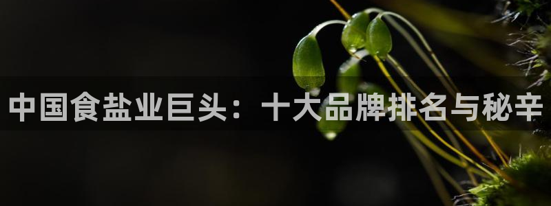 威九国际官方网站最新版本更新内容介绍