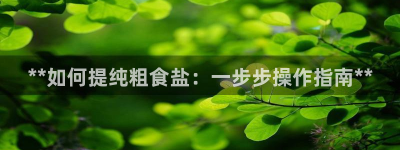 威九国际精