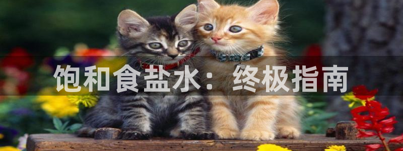 威九国际网站怎么样可靠吗
