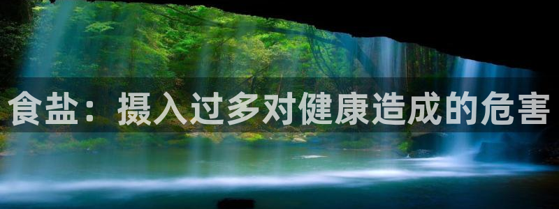 威九国际网站传媒招聘