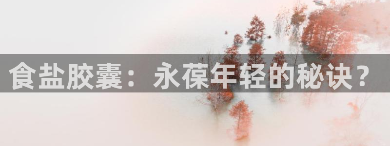 威九国际精选酒店地址