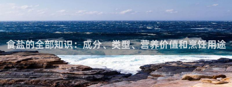 威九国际v96BET