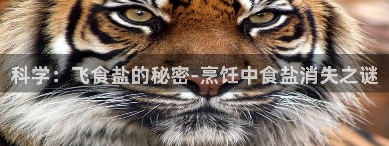 威九国际客服电话是多少
