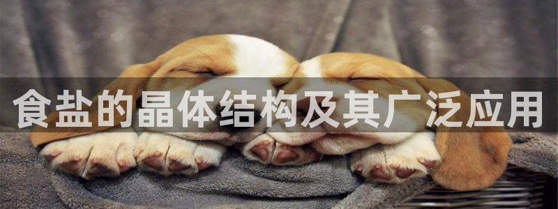 威九国际8ⅹ8x