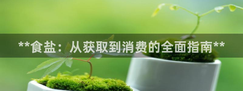 威九国际的女主
