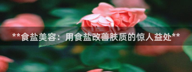 威九国际网站入口官网免费
