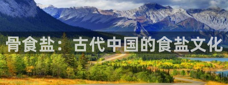 威九国际空降服务怎么样