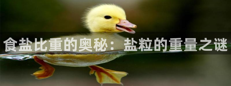 威九国际女主名字
