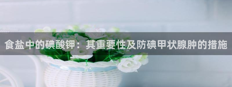 威九国际女孩