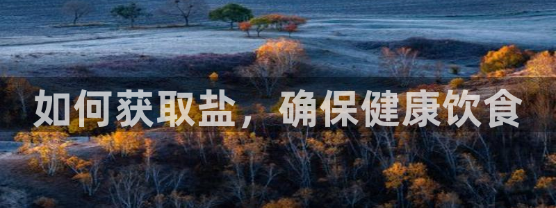 威九国际78mb下载