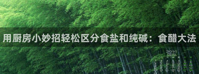 威九国际女主名字