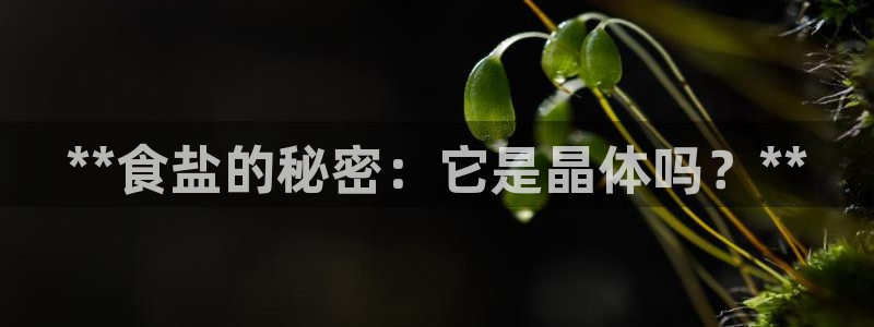 威九国际女主角
