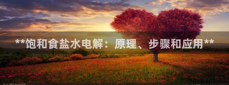 保定威九网络科技有限公司是干嘛的