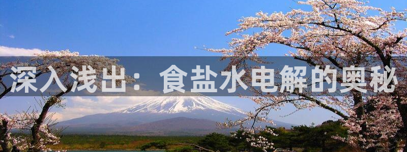 威九国际的金融服务有哪些