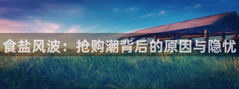 保定威九网络科技有限公司招聘