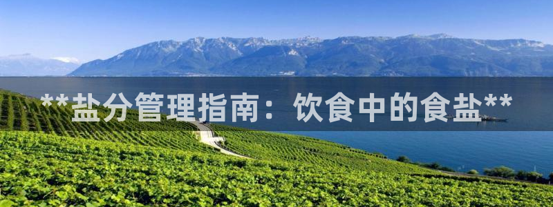 威九国际APP大全
