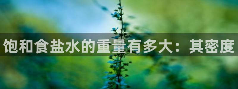 威九国际客服电话号码