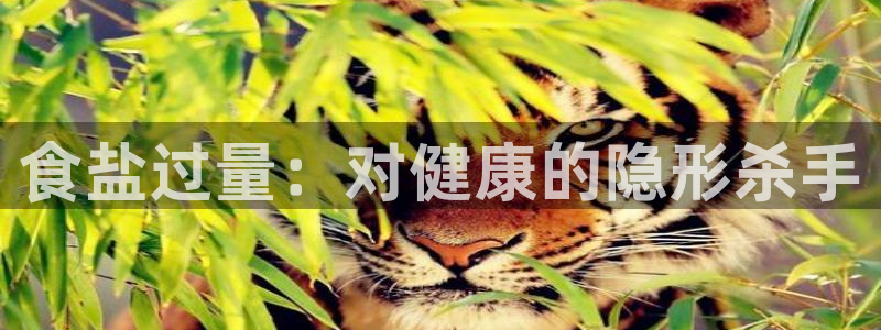 威九国际精免费下载