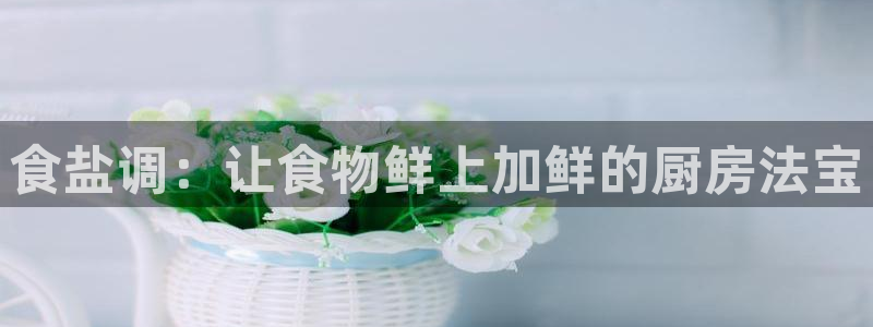 威九国际app哪个地方