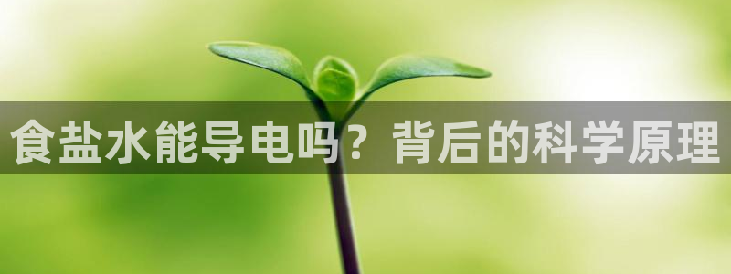 威九国际网站入口官网首页下载