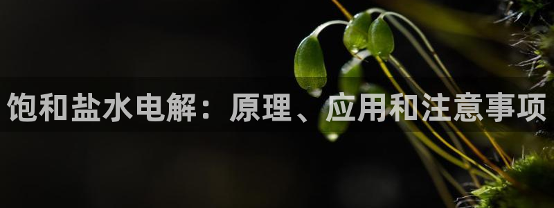 78m.ppt威九国际官网版