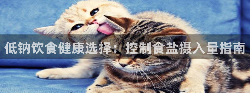 威九国际66m官网版