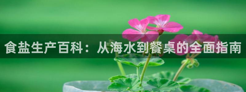 威九国际66