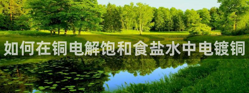 威九国际mv