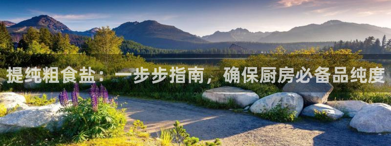 威九国际AN