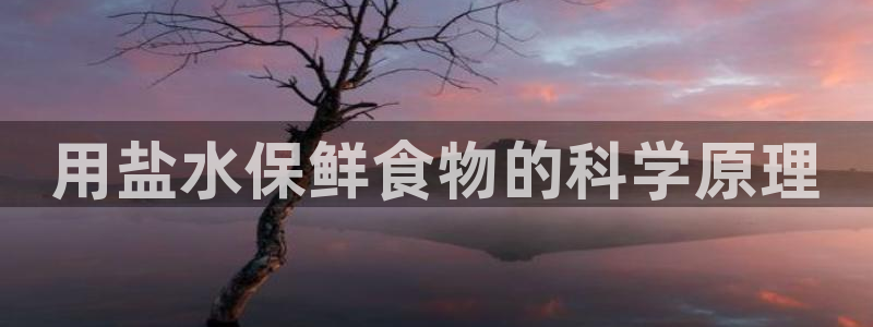 威九国际网站入口官网免费下载