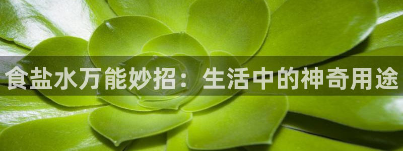 威九国际旗下艺人