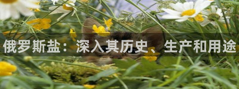威九国际网站安全吗