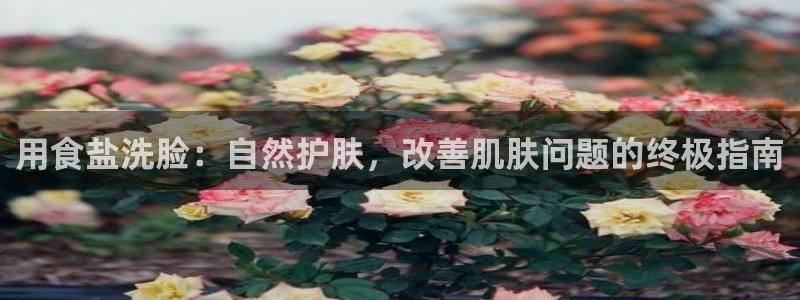 66m威九国际精选