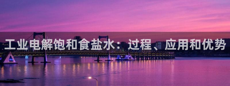 威九国际软件公司简介