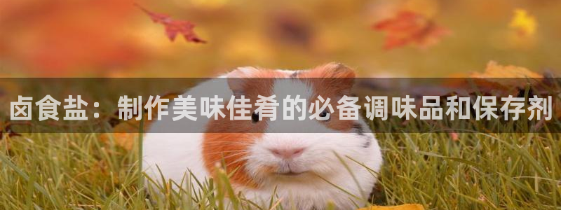 78mppt威九国际