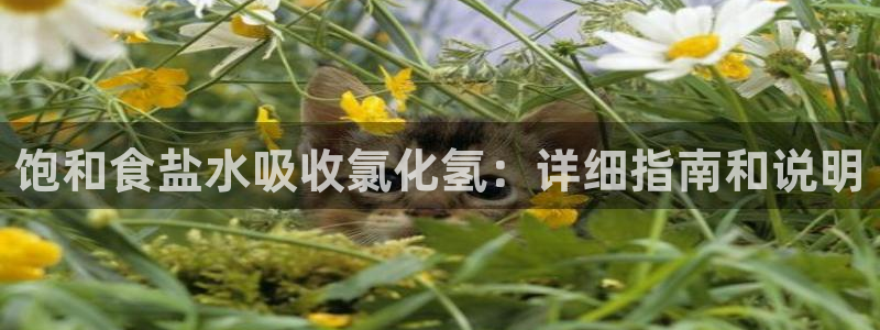 威九国际演员表