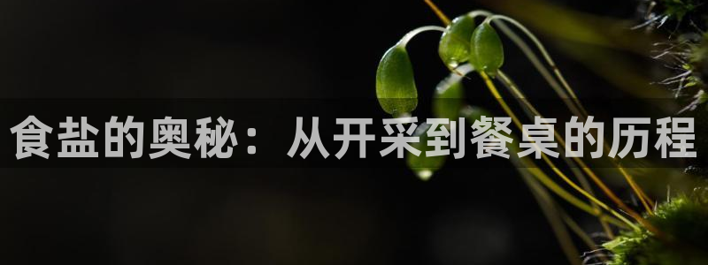 威九国际78mob网页
