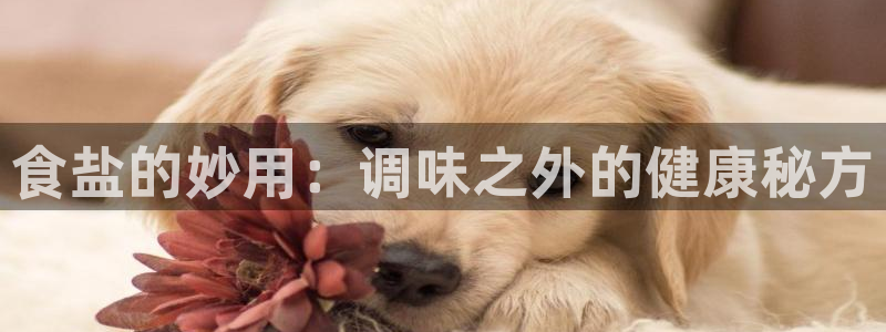 威九国际app客服电话多少