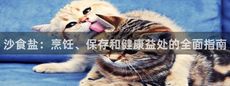 威九国际狂飚电影