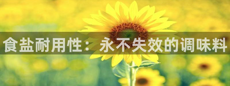 威九国际FT