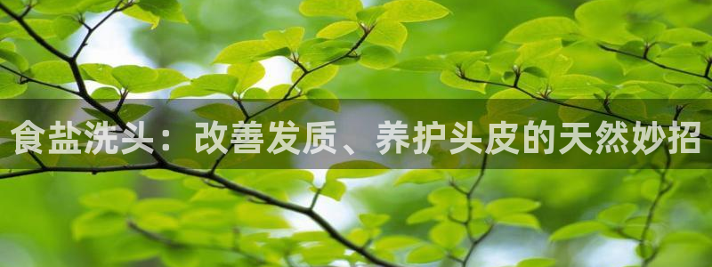 威九国际新