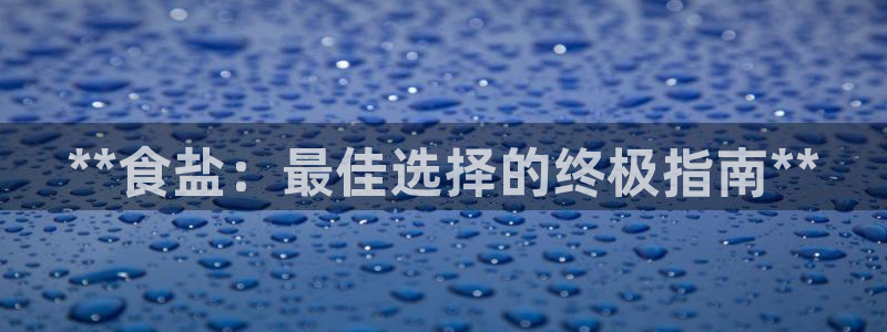 威九国际PPT