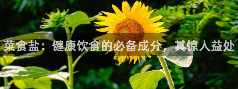 威九国际客服电话号码查询