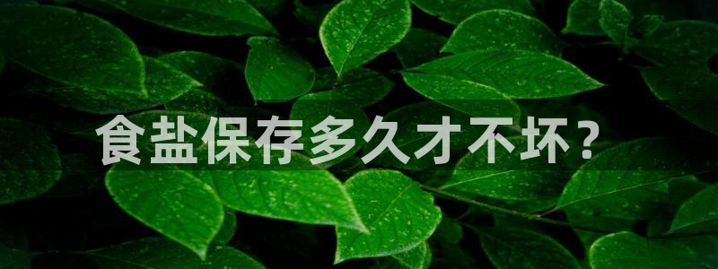 威九国际人民网招聘