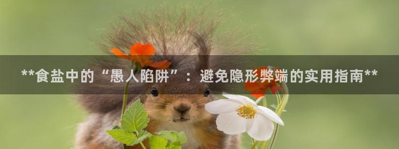 威九国际软件公司简介