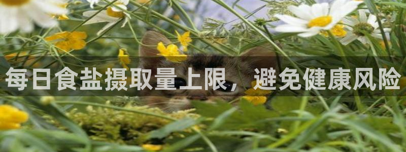 威九国际精彩推荐怎么样