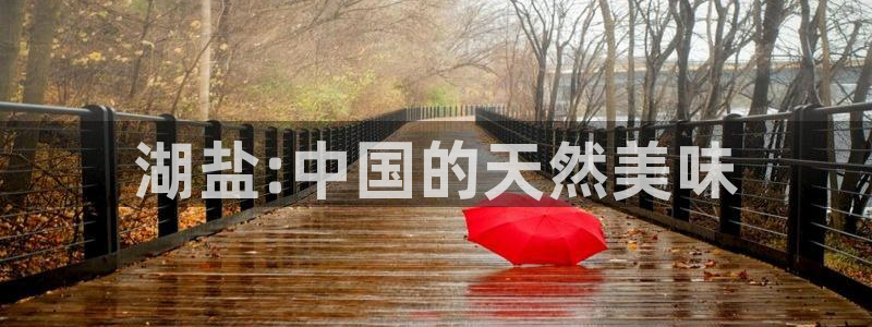 威九国际66视频