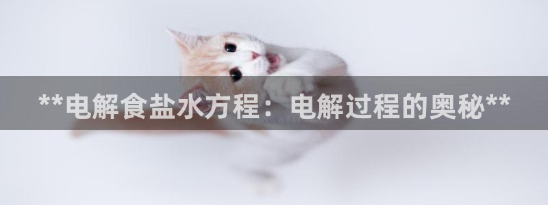 威九国际网站经常打不开网页